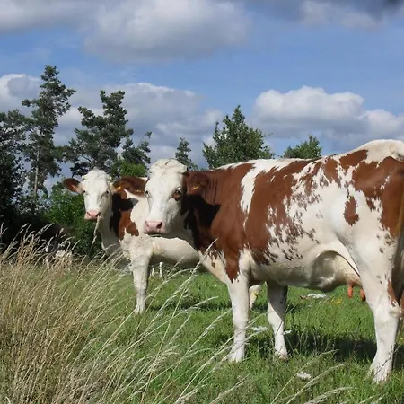 La Roulotte A La Ferme Oda ve Kahvaltı
