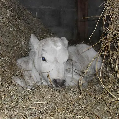 La Roulotte A La Ferme Oda ve Kahvaltı *